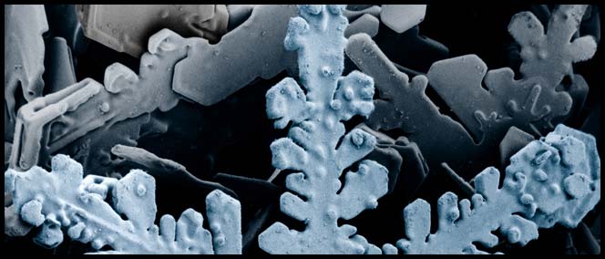 Can Yalman Design : Homepage